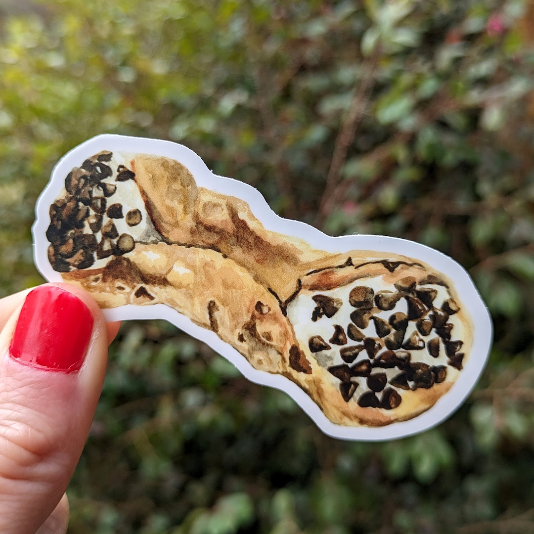 Watercolor Chocolate Chip Cannoli Sticker. Dessert Vinyl Die Cut ...