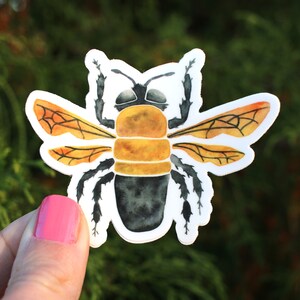Watercolor Bee Sticker: Waterproof Vinyl Insect Decal