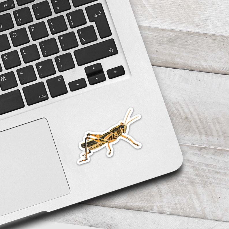Watercolor Grasshopper Sticker. Insect Vinyl Die Cut Sticker. Nature Decal. Laptop. Water Bottle. Tumbler. Tablet. Cup. Phone. image 2