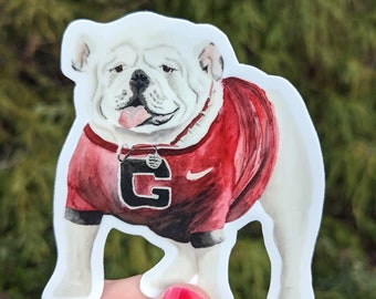 Watercolor Georgia Bulldog Sticker. College Gameday Vinyl Die Cut Sticker. University of Georgia Football Decal.