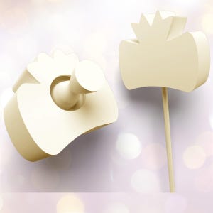 GRADUATION theme cake pop mold