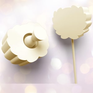 GRADUATION theme cake pop mold
