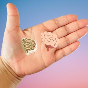 May include: A hand holding two brain-shaped objects. One is a beige cookie cutter, and the other is a pink and brown illustration of a brain. The background transitions from blue to pink.