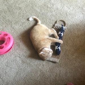 Cat Kick Stick image 1