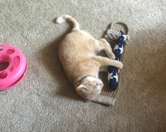 Cat Kick Stick