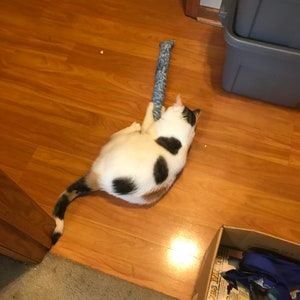 Cat Kick Stick image 2