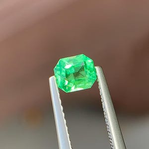 Natural Tsavorite Garnet: 0.62ct Octagon Cut Green Gemstone