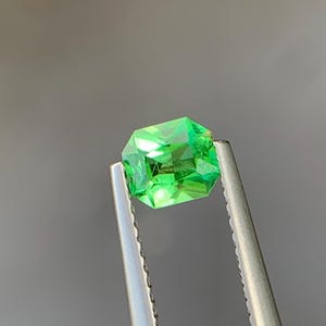 Natural Tsavorite Garnet: 0.64ct Octagon Green Gemstone, Tanzania