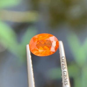 May include: An oval-cut, vibrant orange gemstone is held by silver tweezers. The gem has multiple facets, reflecting light. The tweezers are labeled "OPES GEMS" in white text. The background is blurred, with hints of green.