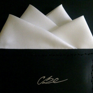 Men's Silky Pre-Folded Pocket Square (One)