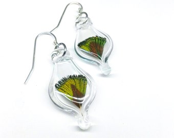 Blown glass capsule earring with peacock feather inside