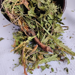 Dandelion root and leaves washed and dried treats for chinchilla or rabbit