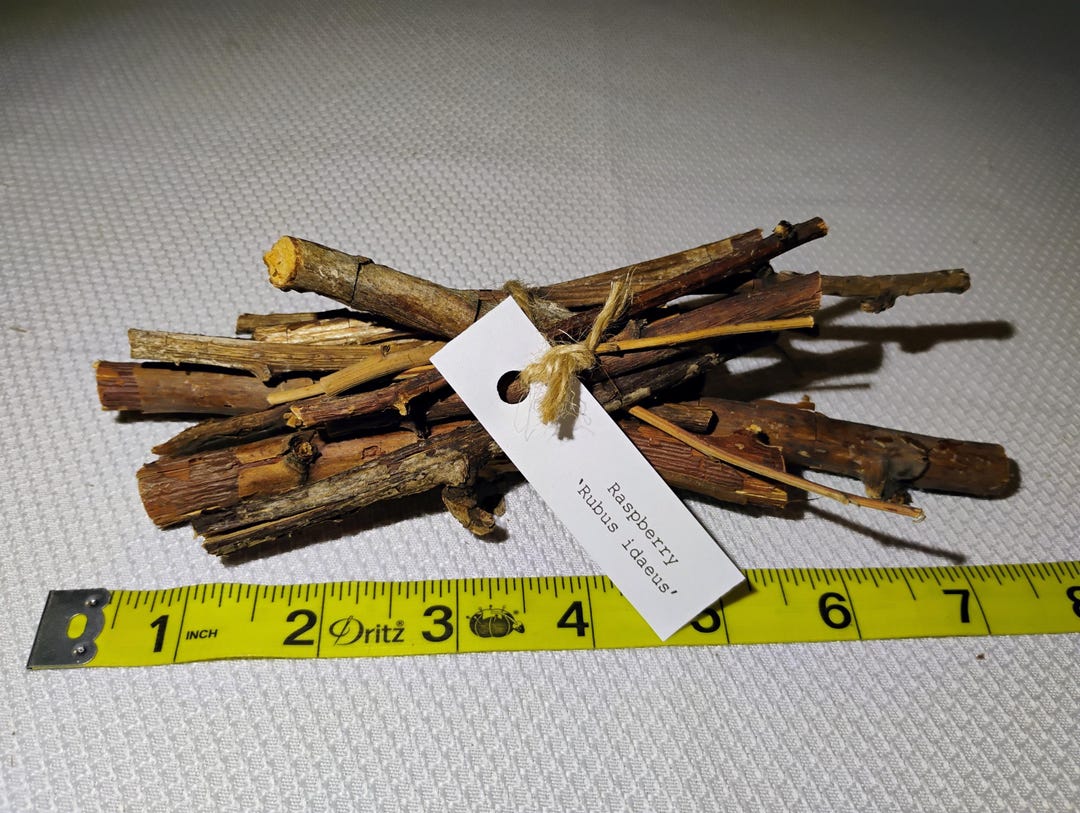 Raspberry Wood Boiled and Baked Dried Treats for Chinchilla or Rabbit ...