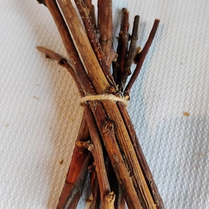 Raspberry wood boiled and baked dried treats for chinchilla or rabbit