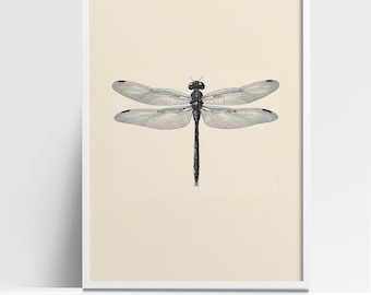 Vintage Dragonfly Illustration Art Print - Minimalist Black and White Nature Wall Art