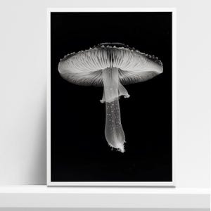 Impresión de arte de setas en blanco y negro - Impresionante cartel de fotografía de hongos - Decoración de pared botánica moderna para amantes de la naturaleza