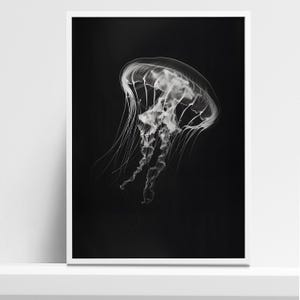 Schwarzweiße Qualle Kunstdruck - Atemberaubende Meereswelt Fotografie Poster - Moderne ozeanische Wanddekoration für Naturliebhaber