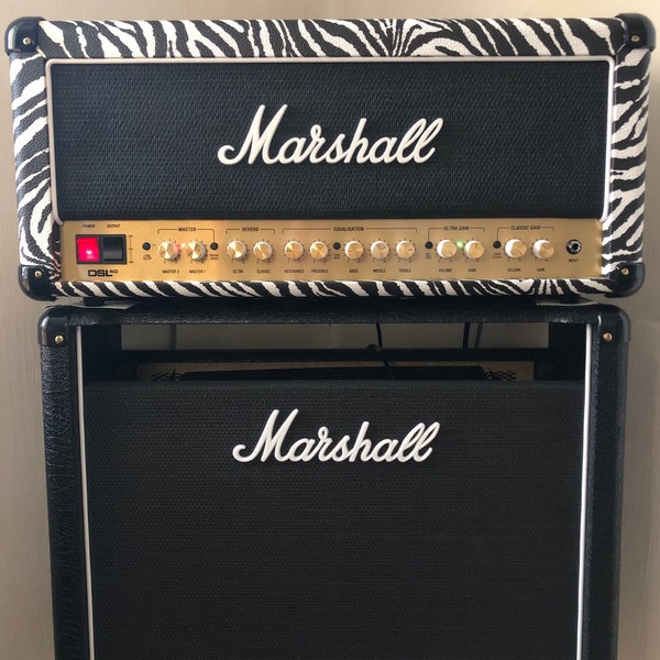 Marshall DSL40CR Combo-zu-Kopf-Konvertierungs-Frontplatte und Rückplatte