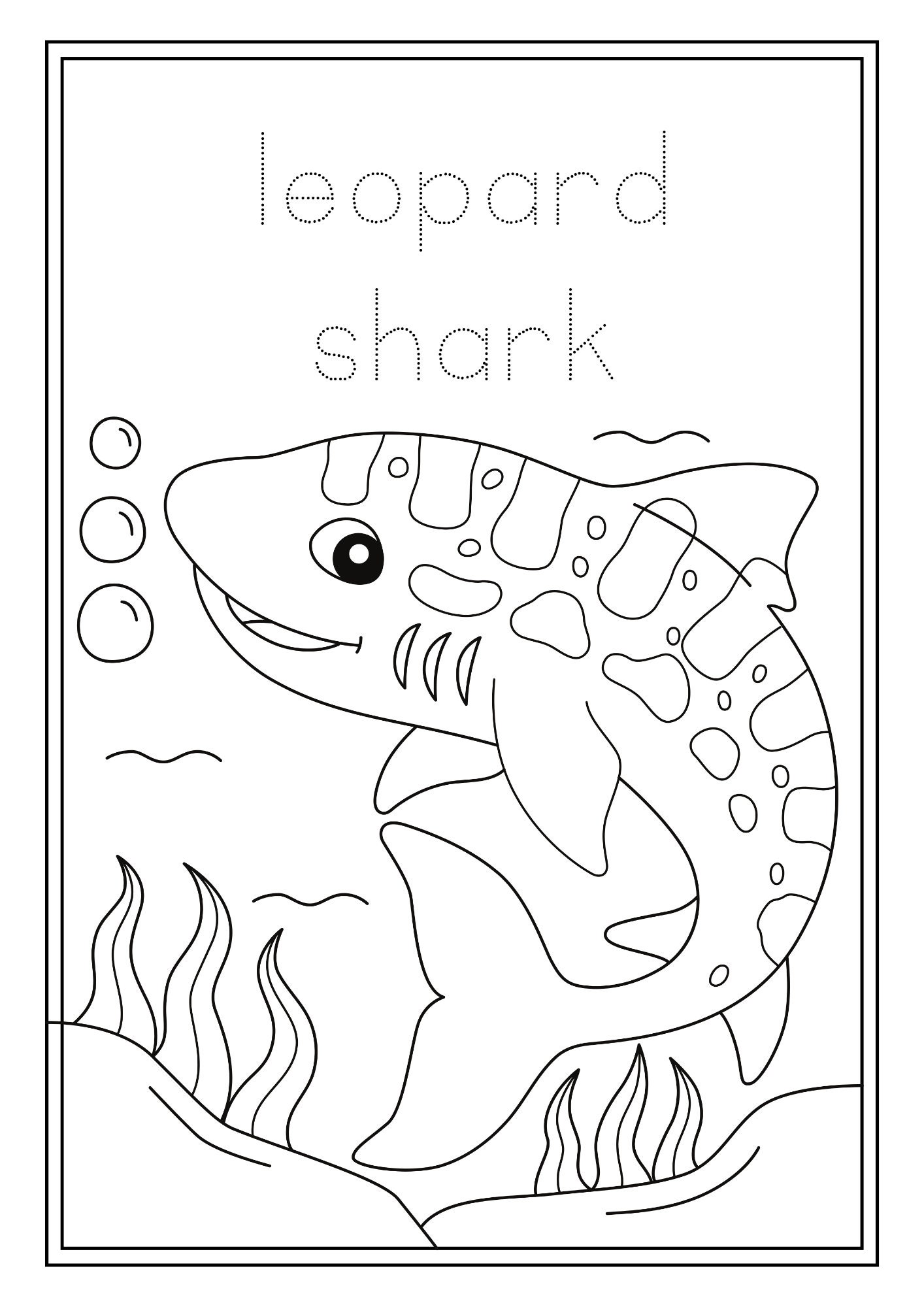 Australian Animals Colouring and Writing Book, Early Education, School ...
