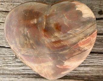 Petrified Wood Heart Shape Polished Mineral Crystal Carved Stone  3 1/2” Free shipping (3)