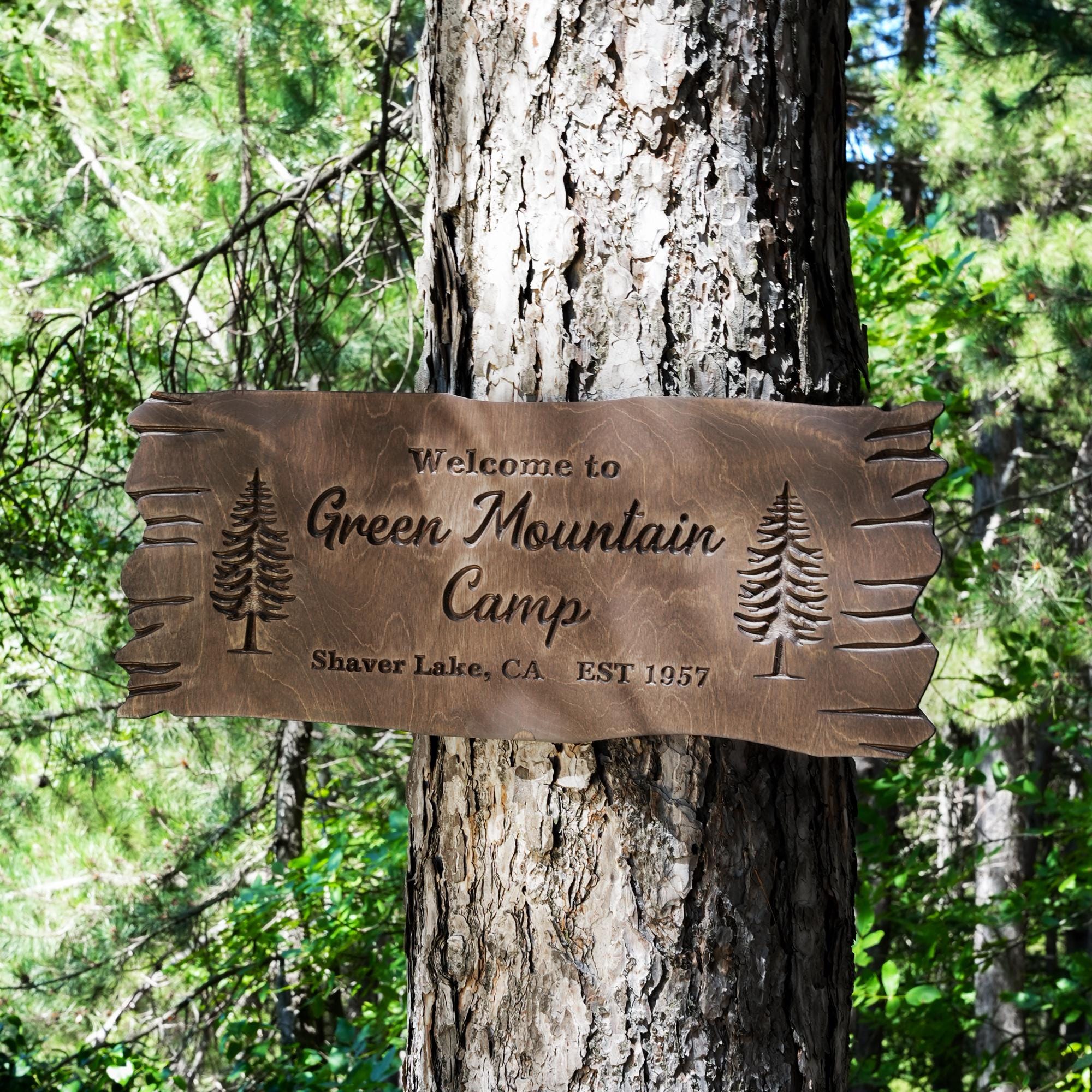Personalized Wooden Camping Outdoor Signs, Custom Carved Sign, Wooden Camping Decor, Cabin Decor, Campsite Lot Number Sign, Welcome to Camp