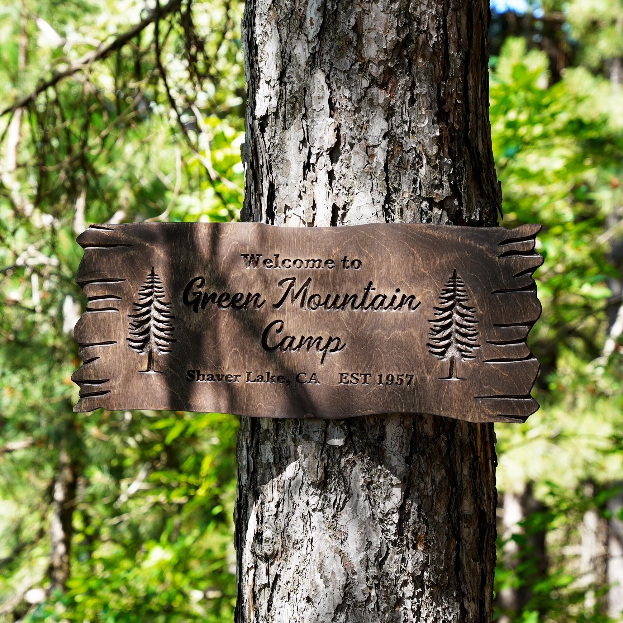 Personalized Wooden Family Name Sign, Custom Carved Sign, Wood Home Decor, Housewarming Gift, Outdoor Sign, Retro House Decor, Cabin Decor