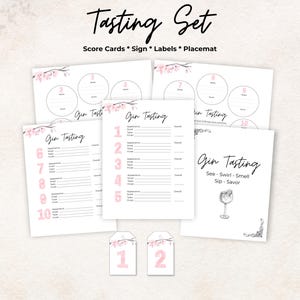 Kit degustazione gin, segnapunti, etichette per bottiglie, tovaglietta, cartello, rosa, 10 gin, gioco per addio al nubilato, regalo, stampabile, tariffa, set bundle