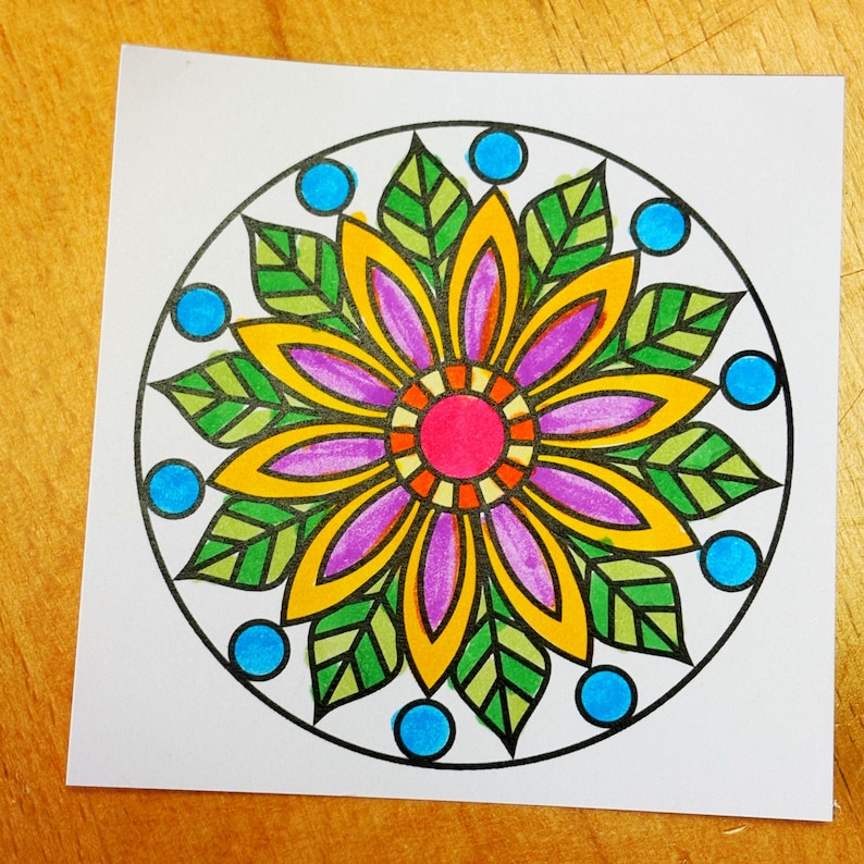 May include: A colorful, hand-drawn mandala design on white paper. The mandala features a central pink circle surrounded by orange, yellow, and purple petals. Green leaves and blue circles complete the design, all outlined in black.