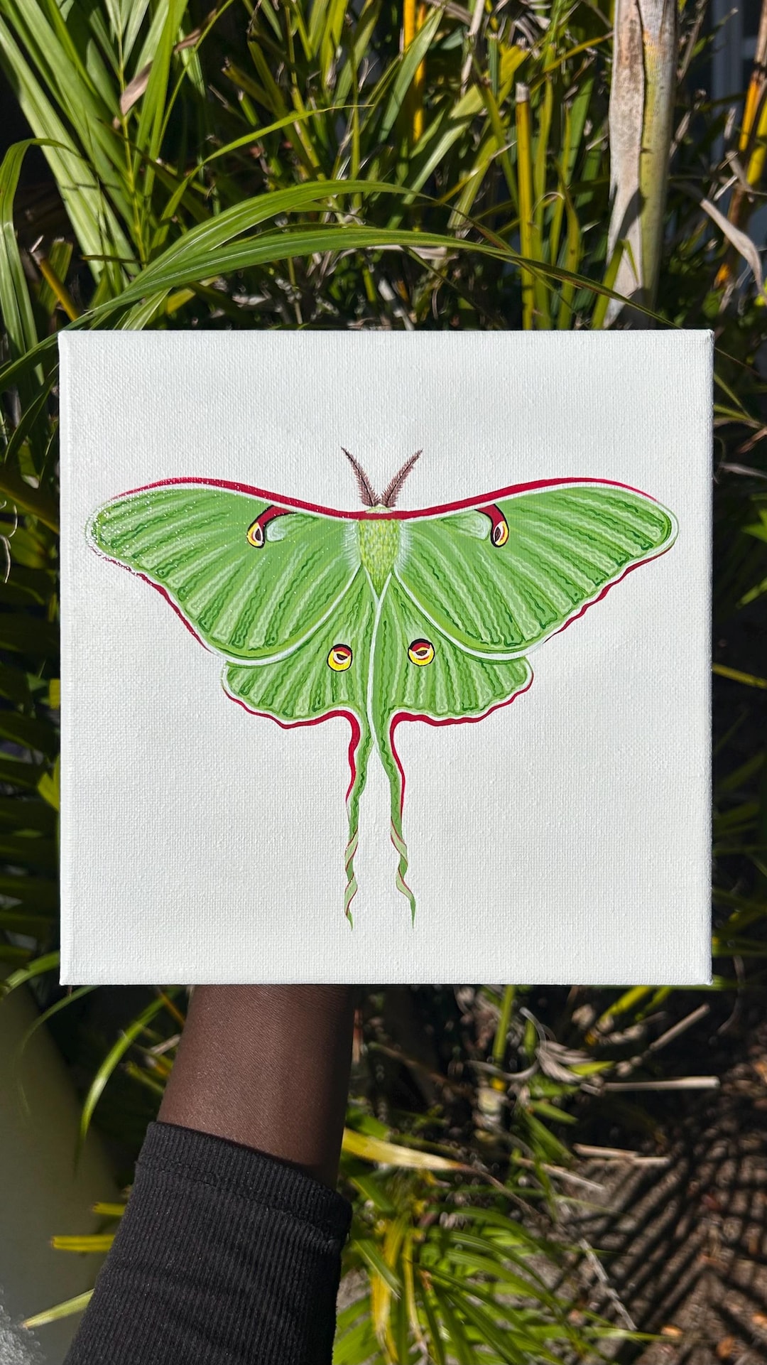LUNA ~ Luna Moth Acrylic Painting - Etsy