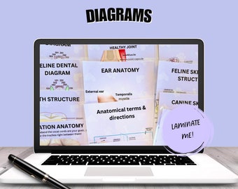 Anatomical diagrams