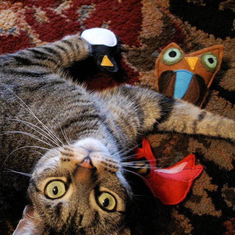 BIrdy Bird Catnip Penguin for Kit Kats | Etsy