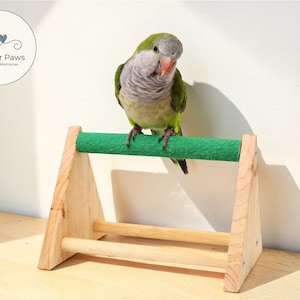 Puede incluir: Un loro Quaker verde y gris posado en un soporte de madera para pájaros con una percha verde. El soporte tiene un acabado de madera natural y un diseño simple en forma de A. El logotipo de Forever Paws es visible en la esquina superior izquierda.