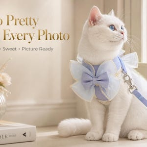 Könnte beinhalten: Eine weiße Katze trägt ein hellblaues Geschirr mit einer großen Schleife auf der Brust, Rüschenbesatz und einer passenden Leine. Der Text "So Pretty In Every Photo" und "Soft • Sweet • Picture Ready" ist oben links im Bild zu sehen.