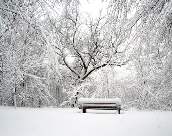 Minnesota winter landscape photography. Snowy Bench at Mississippi River Blvd. Archival print