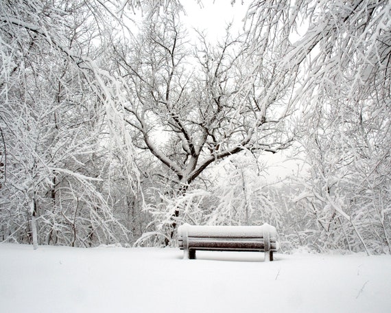 Minnesota Winter Landscape Photography. Snowy Bench at Mississippi
