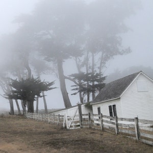 May include: A white house with a gray roof stands in a foggy forest. The house has a single window and a door. The trees are tall and thin, and the fog is thick and white.