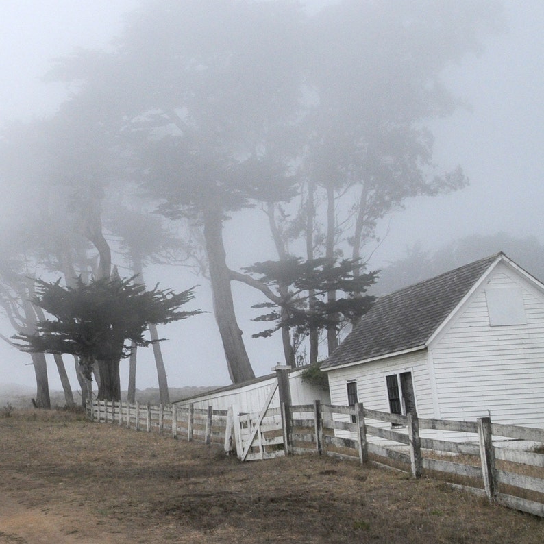May include: A white house with a gray roof stands in a foggy forest. The house has a single window and a door. The trees are tall and thin, and the fog is thick and white.