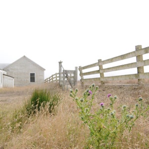 May include: A white wooden fence with a gate leading to a white wooden house with a single window. The fence is in a field with tall grass and purple wildflowers.