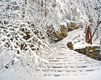 Minnesota winter landscape photography. Hidden Falls Park Staircase. Archival print