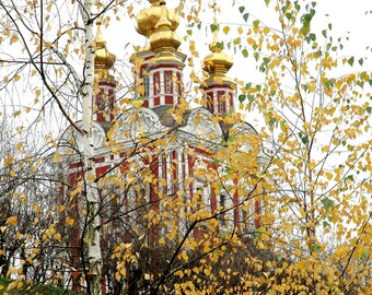 Golden domes of Novodevitchy Convent. Photography. Moscow, Russia. 8x10 Print