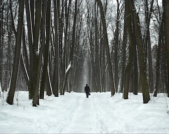 The Walk. Landscape Photography.  Moscow, Russia.