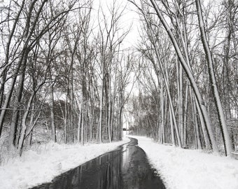 Dark Path. Minnesota winter landscape photography. Monochromatic. Black and white. Snow covered tree. Aarchival Print