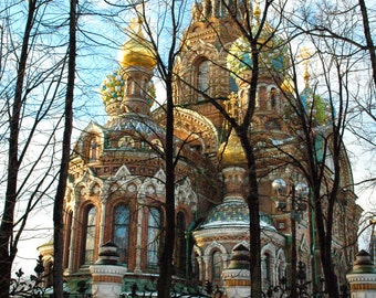 Church on Spilled Blood. Ancient architecture. Landscape photography. Winter. Onion domes. Trees.  St. Petersburg, Russia. 5x7 Print