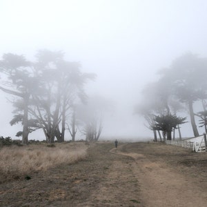 May include: A white house with a wooden fence in front of it. The house is surrounded by trees and fog. A person walks on a path leading to the house.