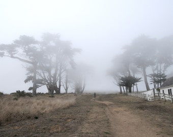 Point Reyes. Landscape photography. California coast. Nature. Fog, hazy skies, mist. Man walking down path. Cypress trees. Print