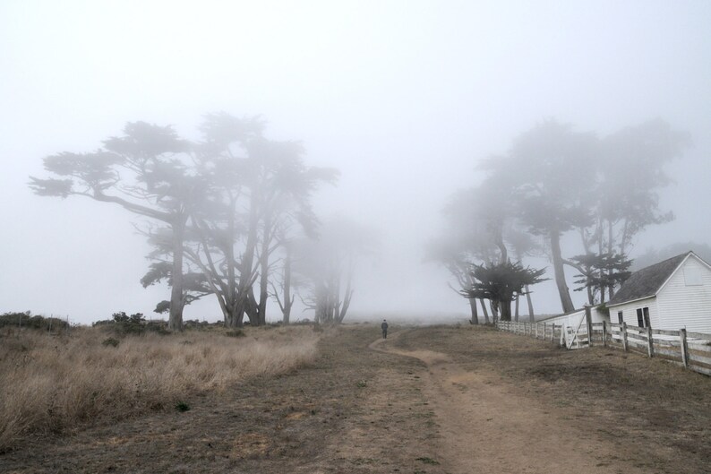 May include: A white house with a wooden fence in front of it. The house is surrounded by trees and fog. A person walks on a path leading to the house.