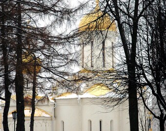 St. Sergius Monastery. Ancient architecture. Landscape photography. Gold onion domes. Church. Cathedral. Winter. Snow.  Russia.