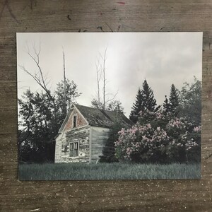 Lilacs and Old Farmhouse. Black and White Tinted Photography. Alberta, Canada. 8x10
