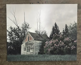 Lilacs and Old Farmhouse. Black and White Tinted Photography. Alberta, Canada. 8x10