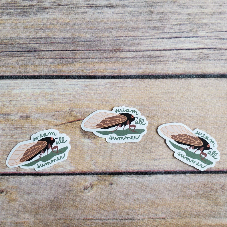 Cicada Scream All Summer Sticker - Etsy